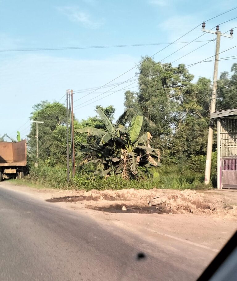 WhatsApp Image 2024-06-18 at 21.08.13