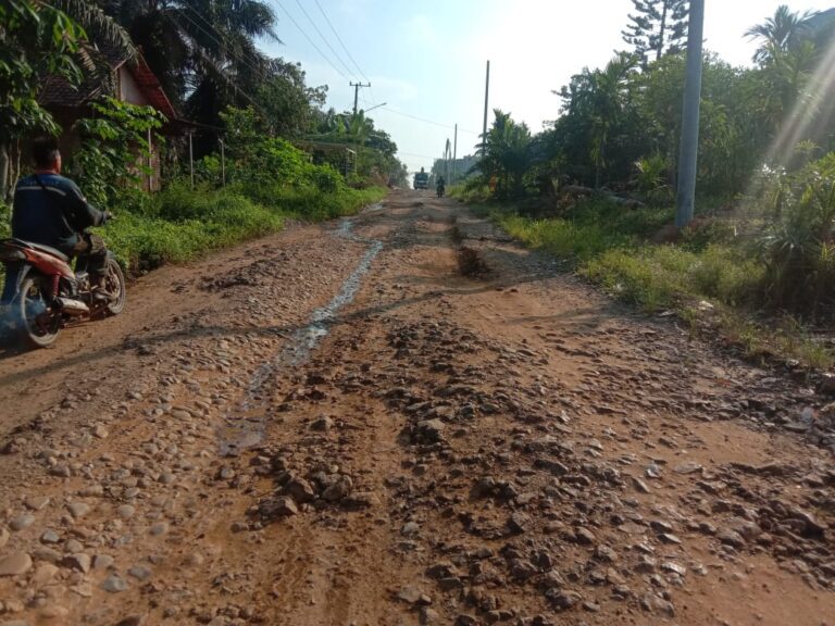 WhatsApp Image 2024-06-19 at 18.13.45