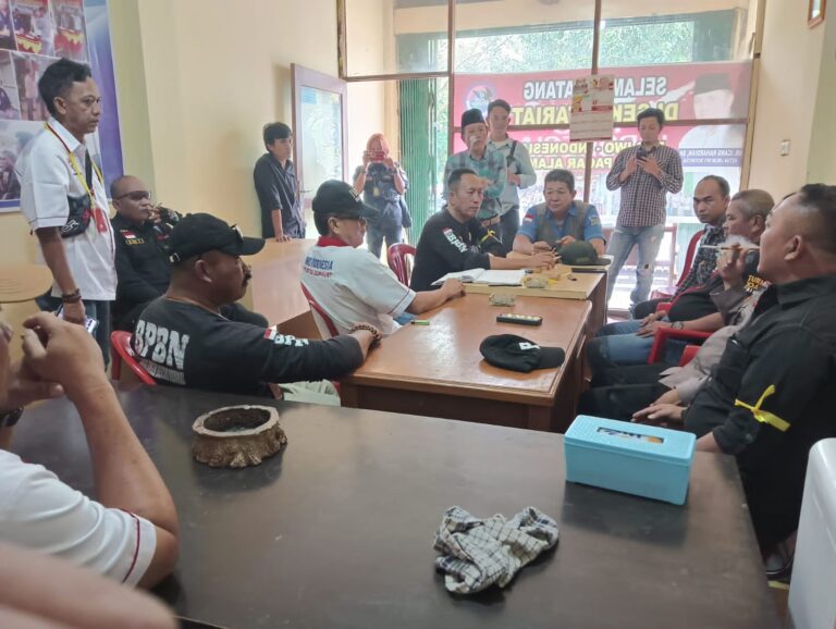 WhatsApp Image 2024-06-26 at 23.10.44