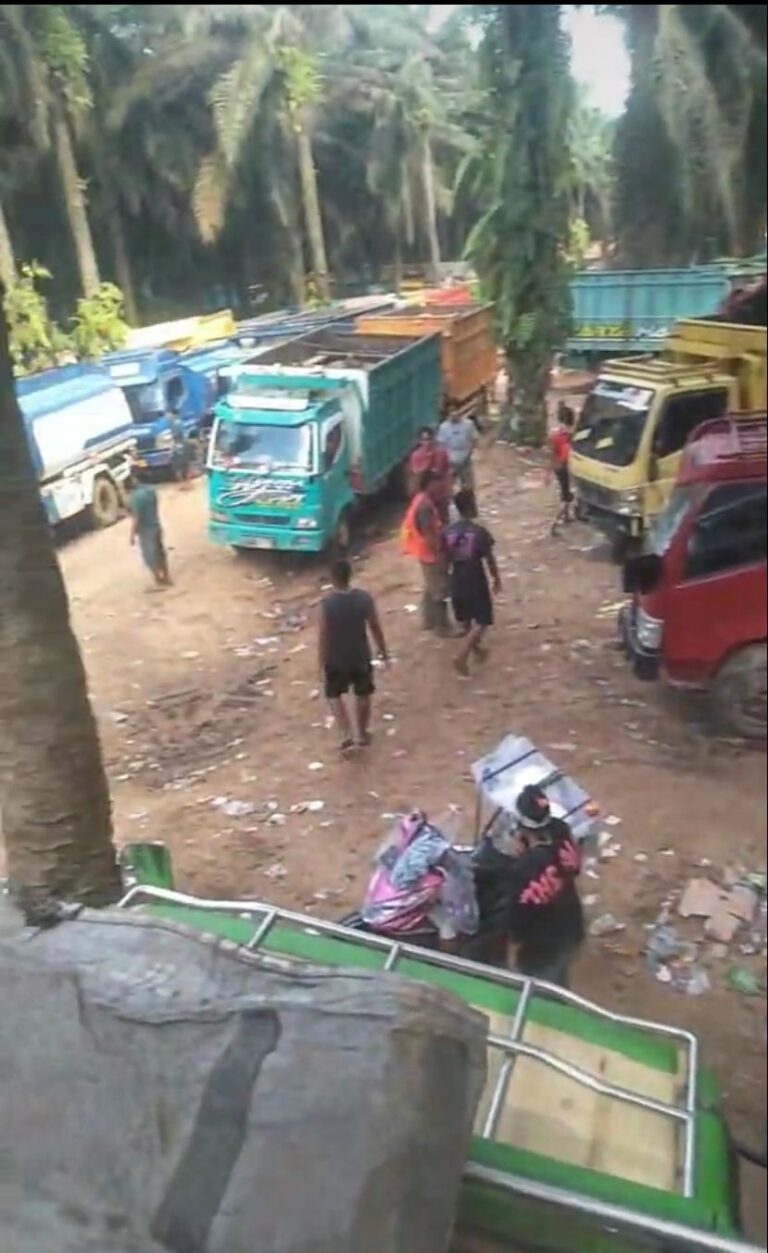 WhatsApp Image 2024-07-01 at 22.26.49