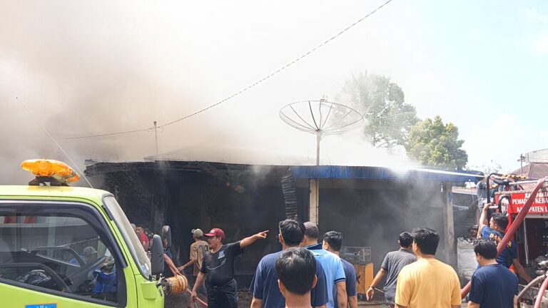 WhatsApp Image 2024-07-19 at 23.57.06