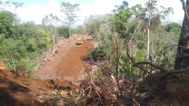 WhatsApp Image 2024-07-26 at 10.14.53