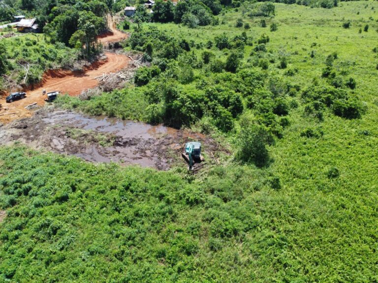 WhatsApp Image 2024-07-28 at 06.23.55