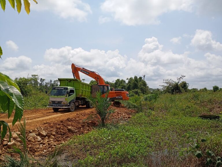 WhatsApp Image 2024-07-28 at 07.18.17 (1)