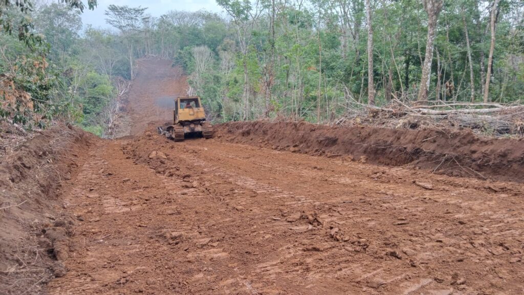 WhatsApp Image 2024-07-31 at 09.32.50