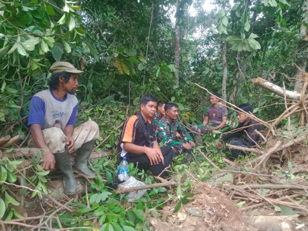 WhatsApp Image 2024-08-01 at 14.33.41