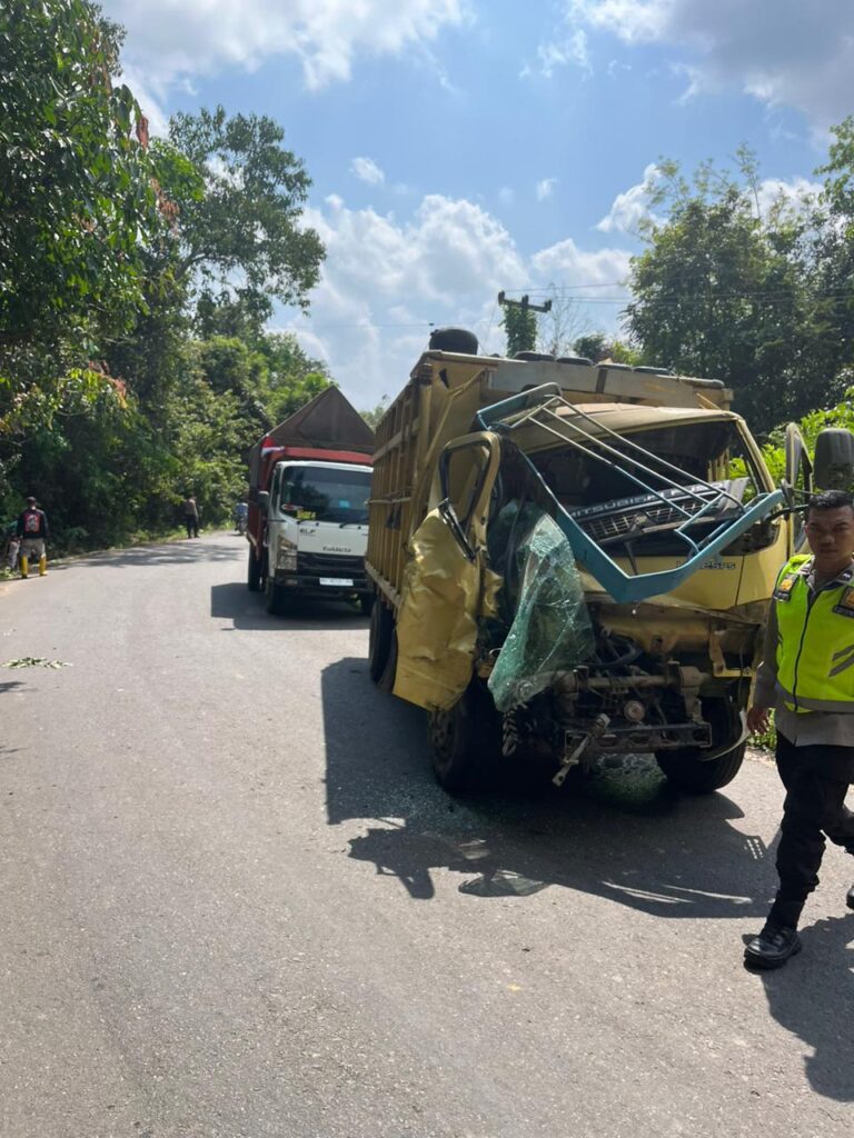 WhatsApp Image 2024-08-05 at 19.33.05