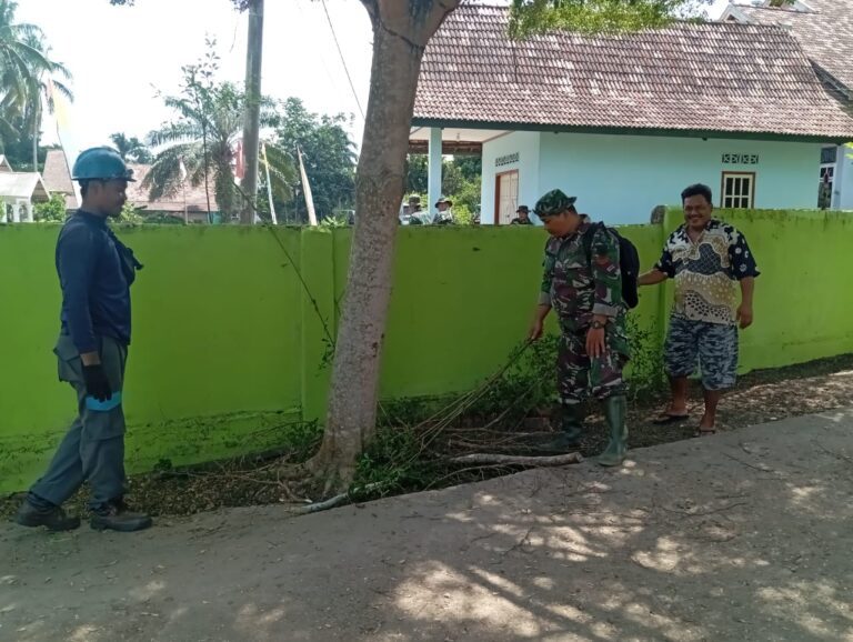 WhatsApp Image 2024-08-08 at 22.17.36