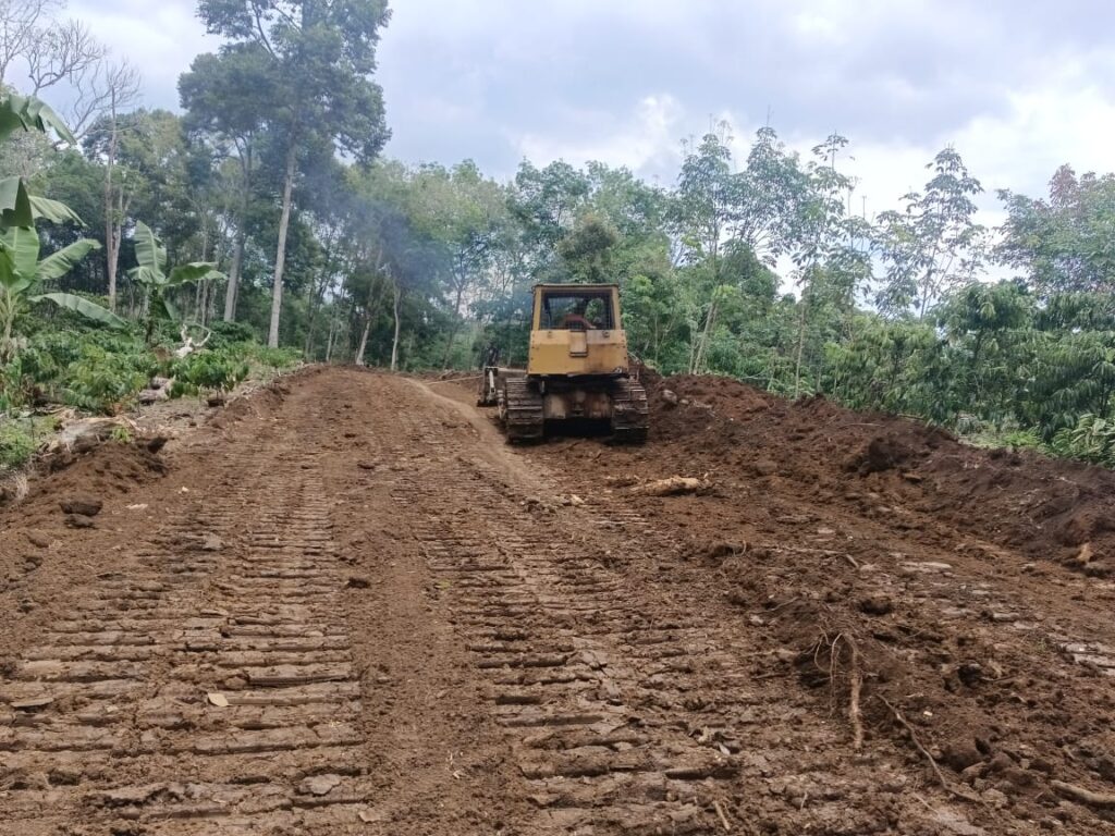 WhatsApp Image 2024-08-09 at 09.19.35