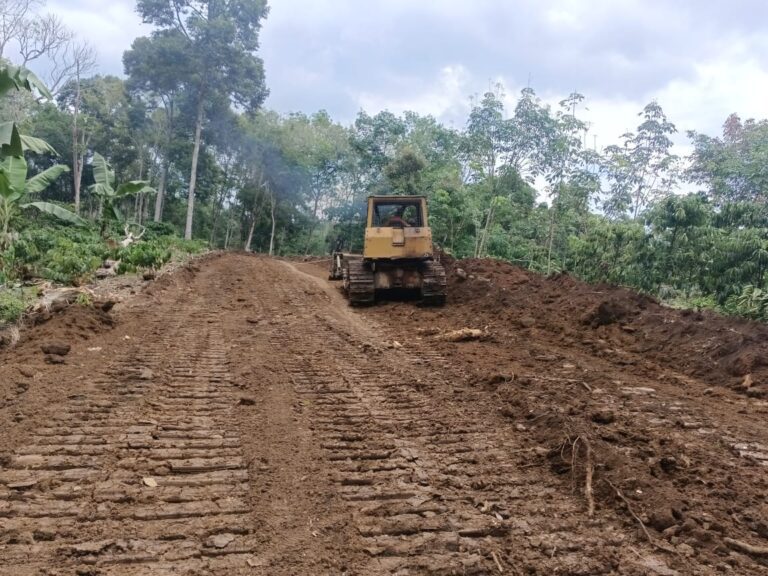 WhatsApp Image 2024-08-09 at 09.19.35