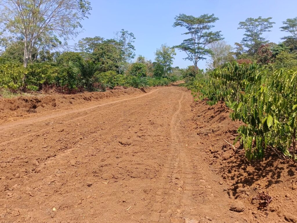 WhatsApp Image 2024-08-14 at 14.58.22