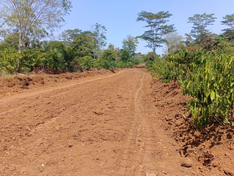 WhatsApp Image 2024-08-14 at 14.58.22