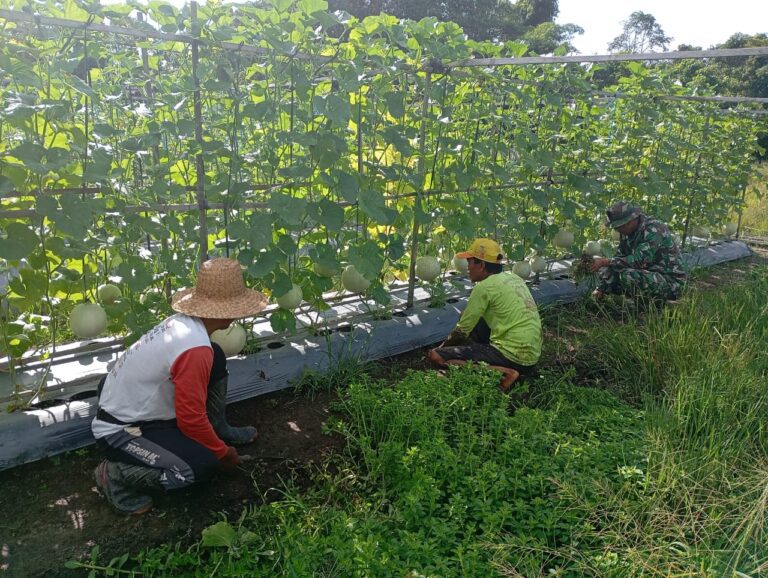 WhatsApp Image 2024-08-15 at 10.26.33 (1)