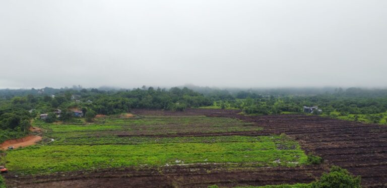 WhatsApp Image 2024-08-19 at 09.02.40