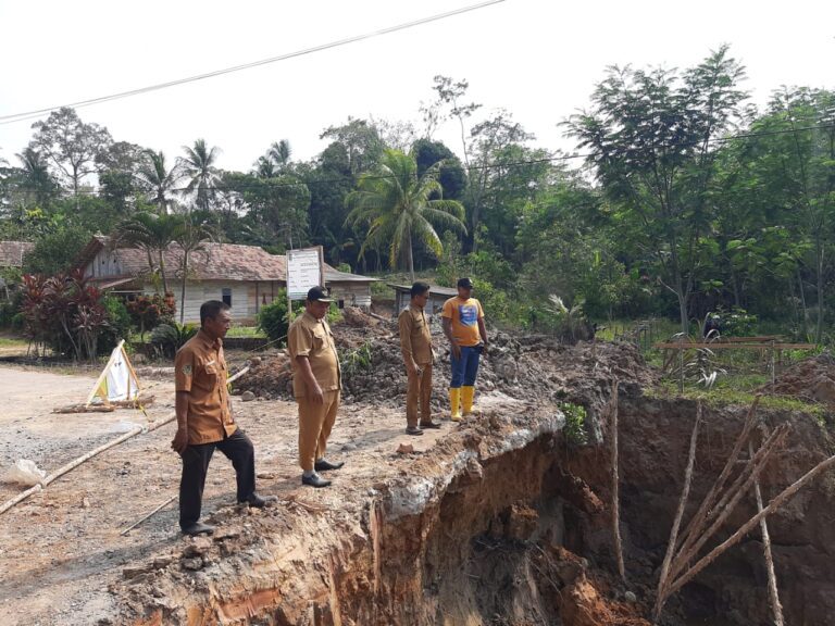 WhatsApp Image 2024-09-03 at 18.54.26