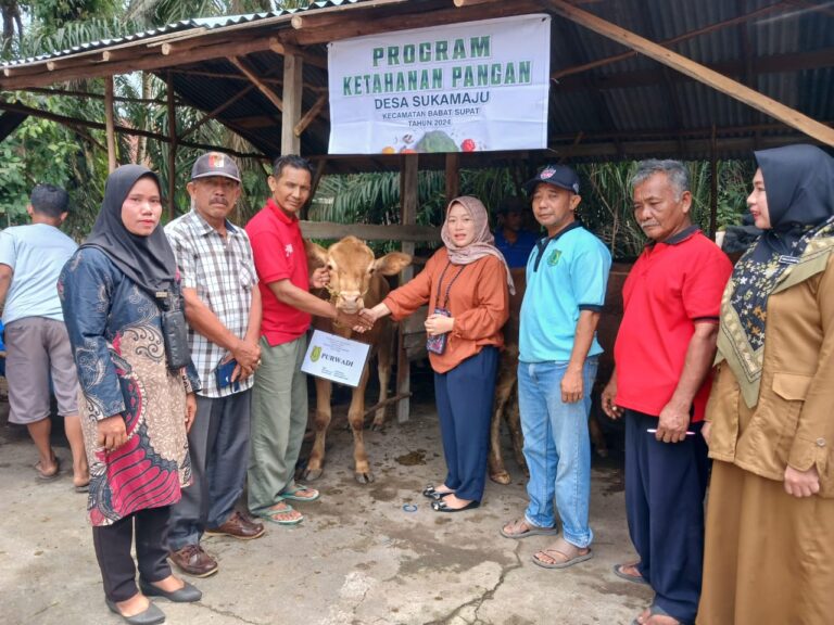 WhatsApp Image 2024-09-13 at 09.13.58