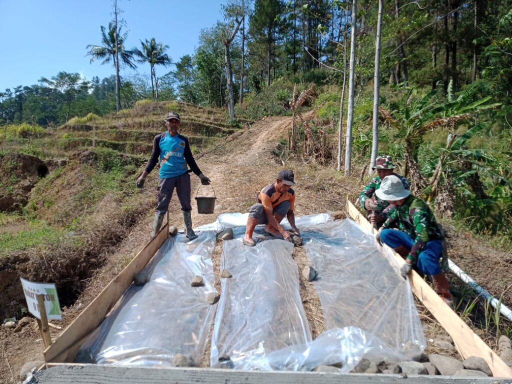 WhatsApp Image 2024-10-03 at 13.34.54