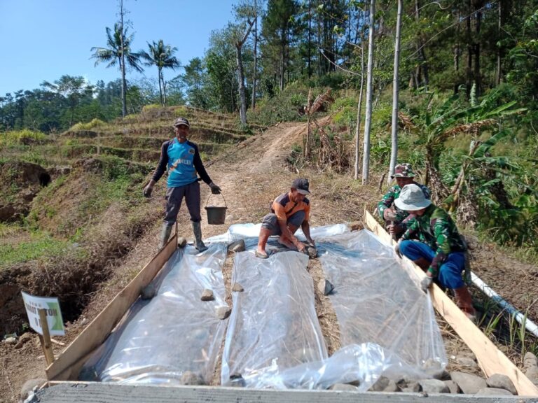 WhatsApp Image 2024-10-03 at 13.34.54