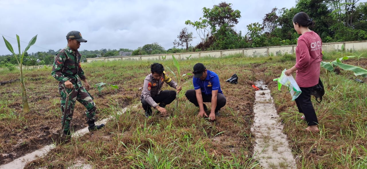 WhatsApp Image 2024-10-07 at 06.59.47