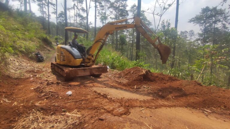 WhatsApp Image 2024-10-07 at 13.31.55