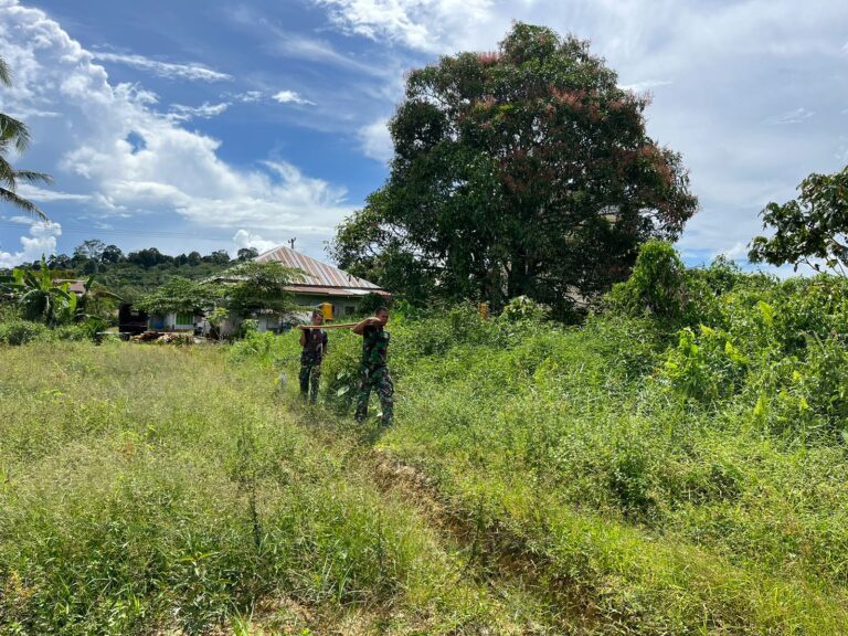 WhatsApp Image 2024-10-08 at 07.39.04