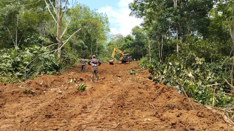 WhatsApp Image 2024-10-08 at 16.29.53 (1)