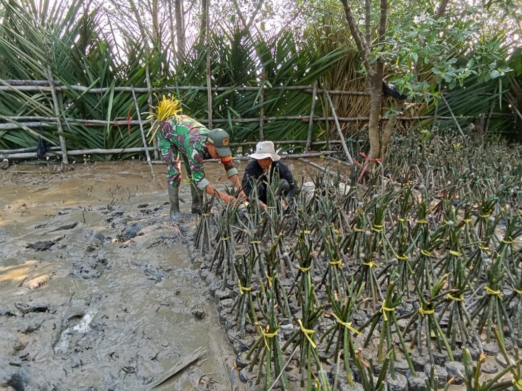 WhatsApp Image 2024-10-09 at 08.53.17