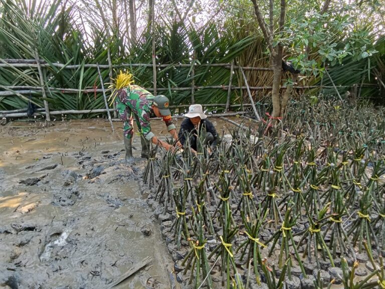 WhatsApp Image 2024-10-09 at 08.53.17