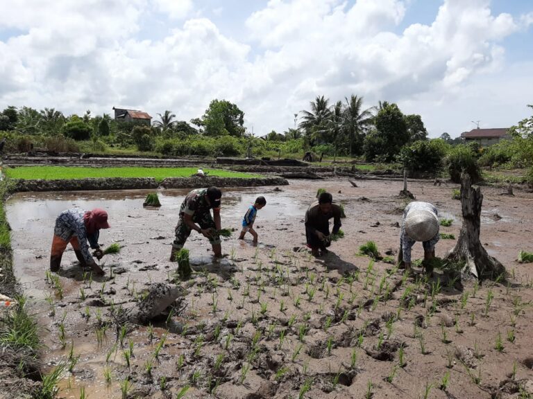 WhatsApp Image 2024-10-09 at 08.53.19