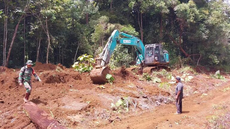 WhatsApp Image 2024-10-09 at 08.53.26