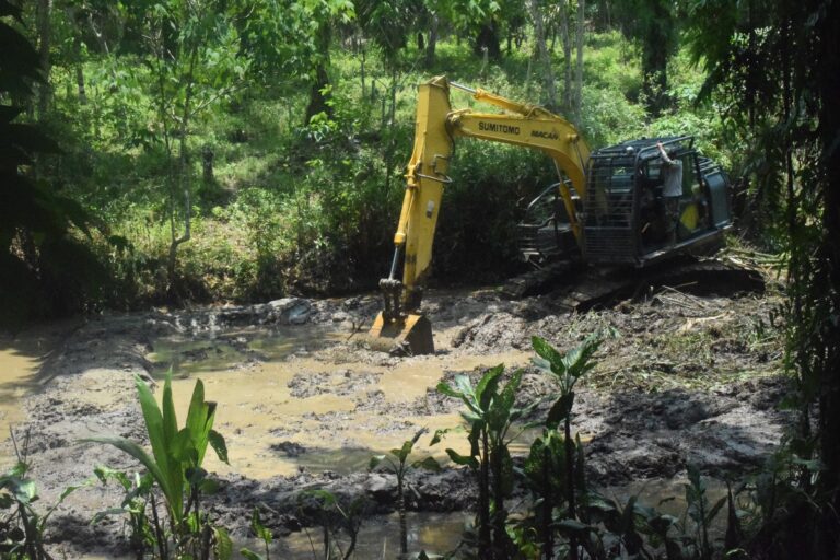 WhatsApp Image 2024-10-09 at 09.54.29