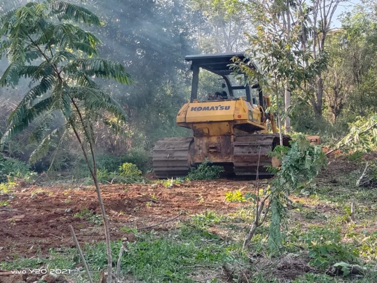 WhatsApp Image 2024-10-11 at 11.45.46