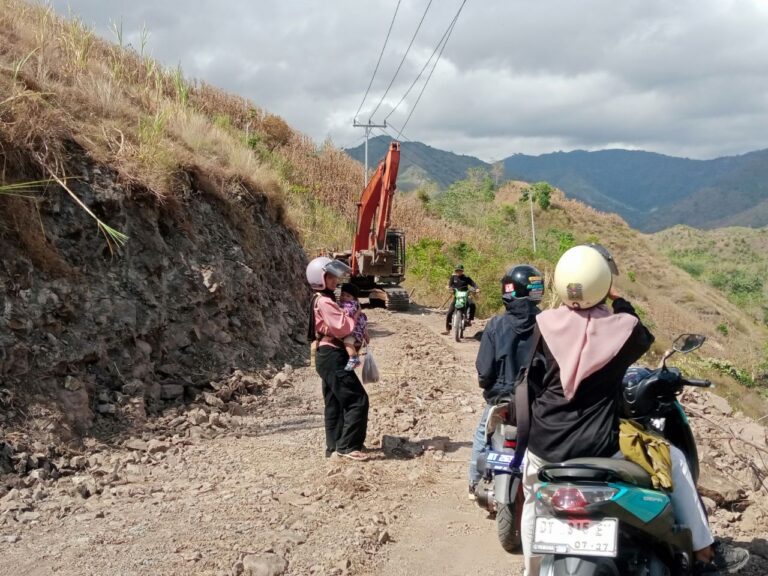 WhatsApp Image 2024-10-11 at 14.36.26