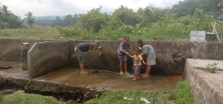 WhatsApp Image 2024-10-11 at 17.17.40