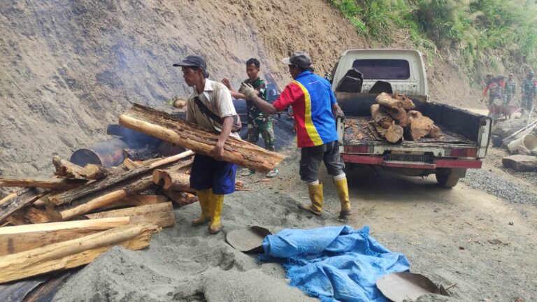 WhatsApp Image 2024-10-12 at 11.50.26