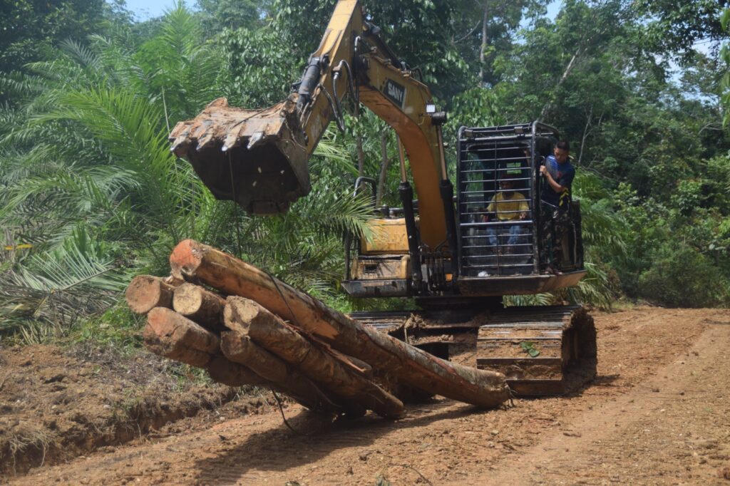 WhatsApp Image 2024-10-12 at 14.14.07