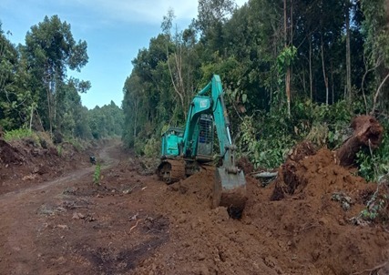 WhatsApp Image 2024-10-13 at 08.52.28