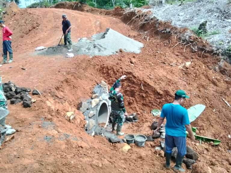 WhatsApp Image 2024-10-13 at 11.37.28 (1)