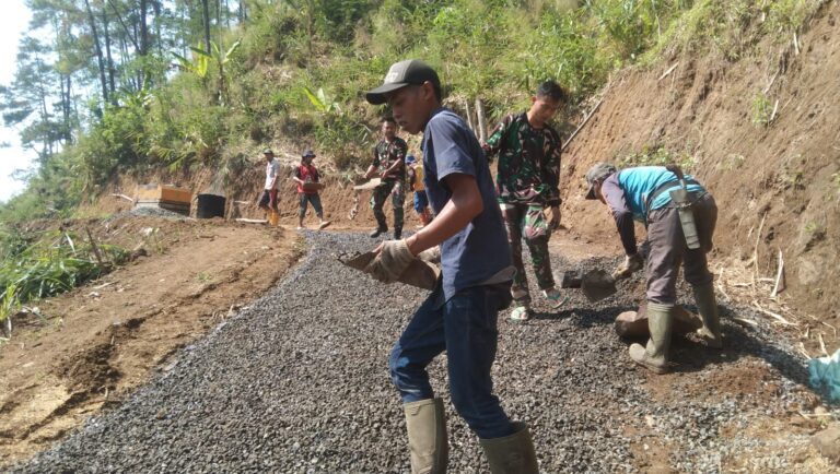 WhatsApp Image 2024-10-13 at 11.47.02