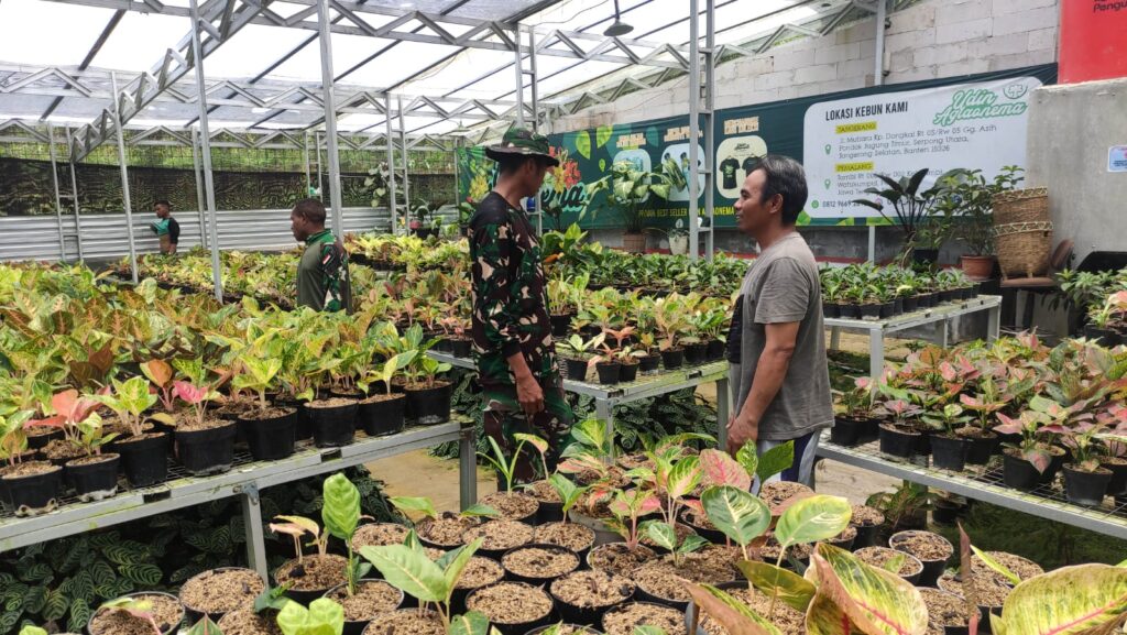 WhatsApp Image 2024-10-13 at 13.19.00 (1)