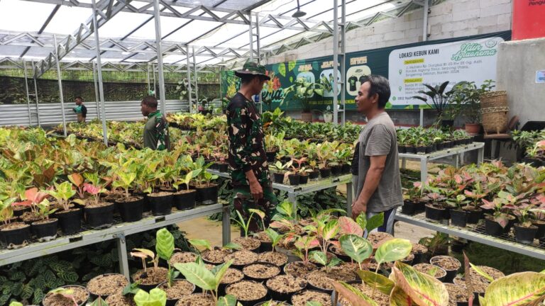 WhatsApp Image 2024-10-13 at 13.19.00 (1)