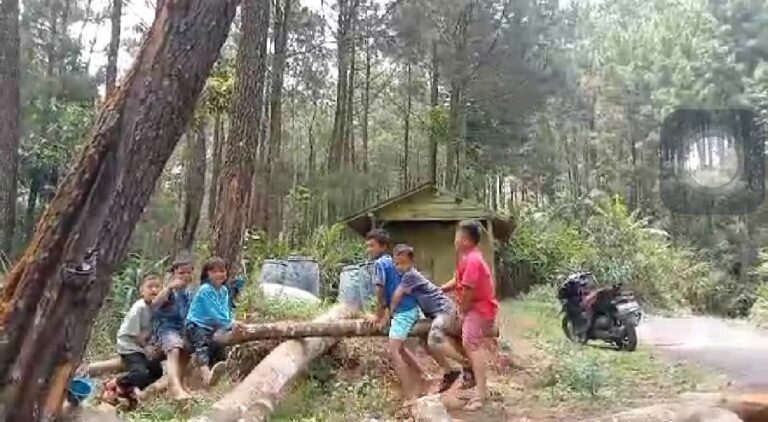 WhatsApp Image 2024-10-13 at 13.31.04 (1)