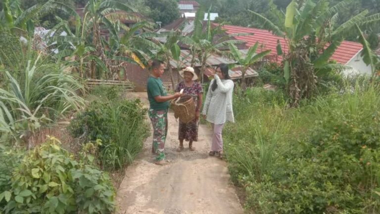 WhatsApp Image 2024-10-13 at 15.03.36