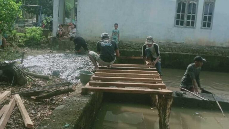 WhatsApp Image 2024-10-13 at 15.15.49