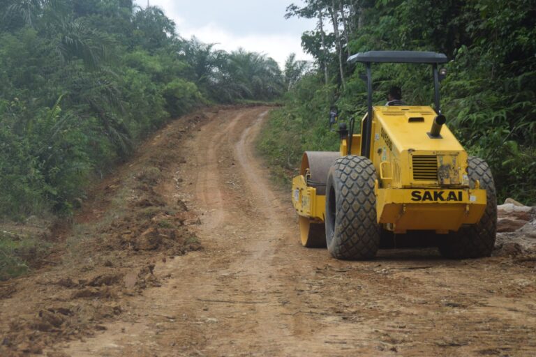 WhatsApp Image 2024-10-13 at 15.30.16