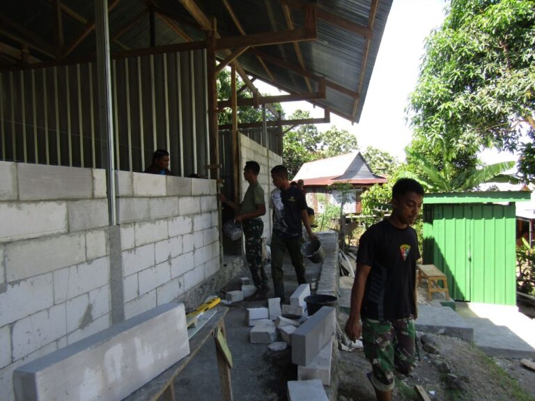 WhatsApp Image 2024-10-15 at 06.23.23