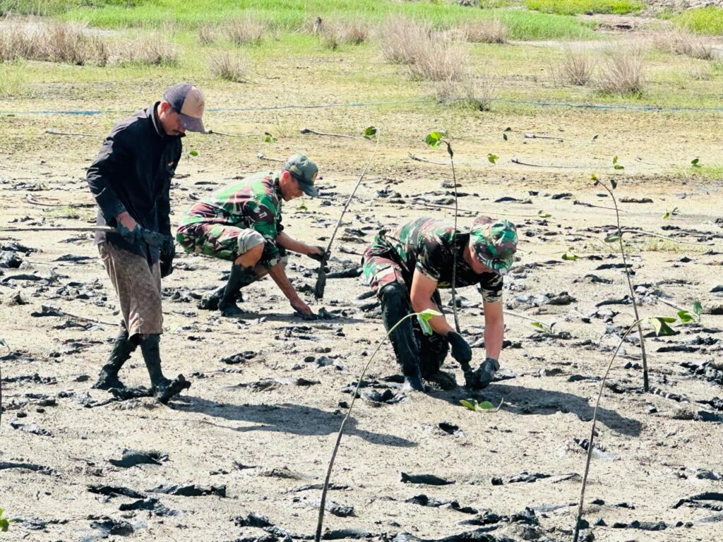 WhatsApp Image 2024-10-15 at 07.22.38