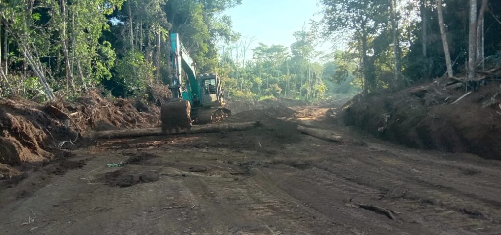 WhatsApp Image 2024-10-15 at 07.31.15