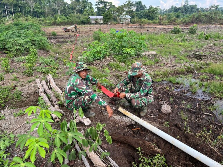 WhatsApp Image 2024-10-15 at 07.36.59