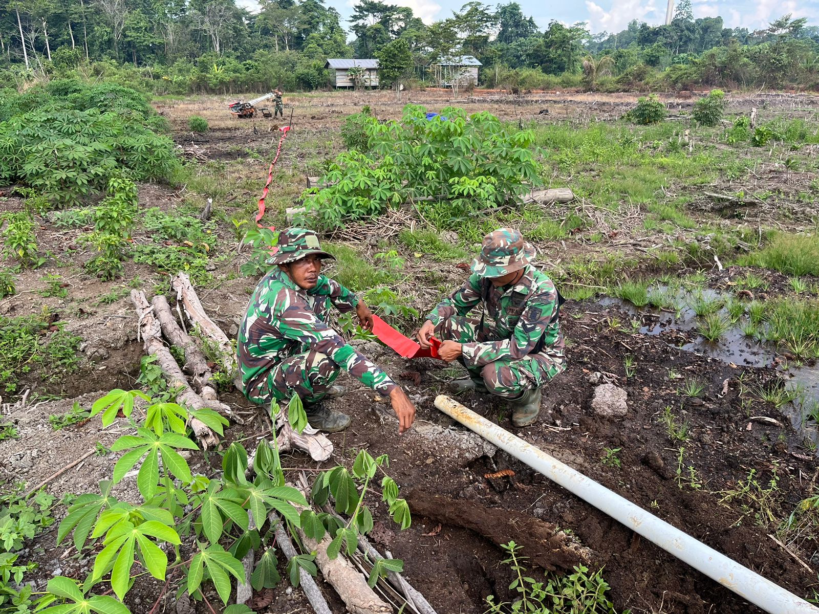 WhatsApp Image 2024-10-15 at 07.36.59